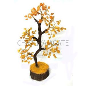 Citrin Chips Tree